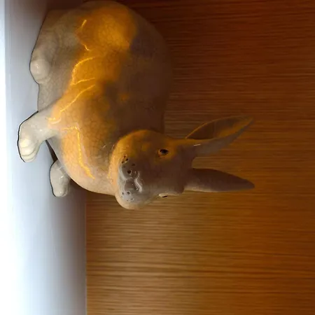 Hotel Le Lapin Blanc-2